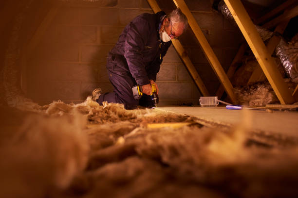 Best Insulation for Specific Applications in Williamsport, PA